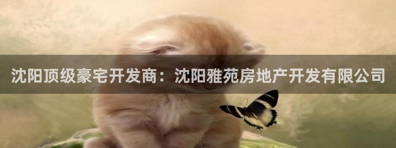 万向娱乐平台代理怎么做赚钱